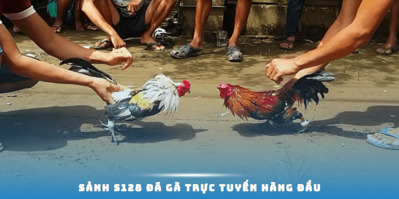 Sảnh S128 đá gà trực tuyến hàng đầu